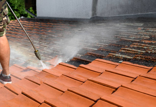 Best Deck Cleaning Services  in Old Miakka, FL