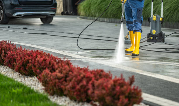 Best Pressure Washing Driveway  in Old Miakka, FL
