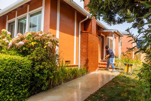 Best Roof Pressure Washing  in Old Miakka, FL