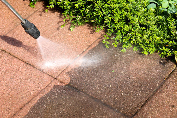 Best Exterior Home Cleaning  in Old Miakka, FL